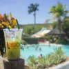 Shows de Verão Lagoa Termas Parque: Ingressos e Hospedagem com Desconto