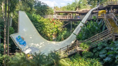 imagem capa Hot Park Rio Quente: O Maior Parque de Águas Quentes do Brasil