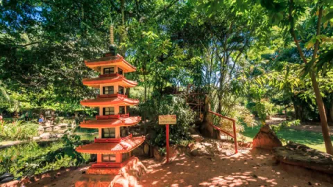 imagem capa Jardim Japonês em Caldas Novas: Contato com a Natureza