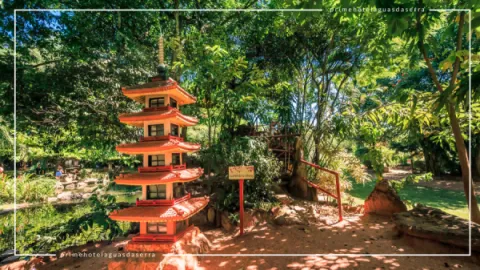 Jardim Japonês em Caldas Novas: Contato com a Natureza