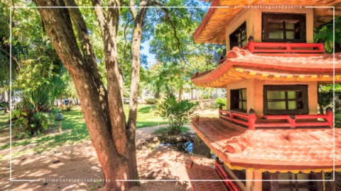 Jardim Japonês em Caldas Novas: Contato com a Natureza