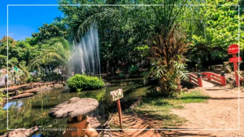 Jardim Japonês em Caldas Novas: Contato com a Natureza