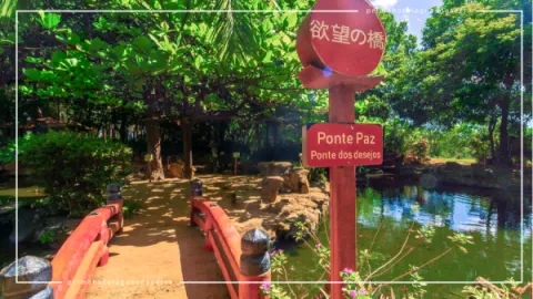 Jardim Japonês em Caldas Novas: Contato com a Natureza
