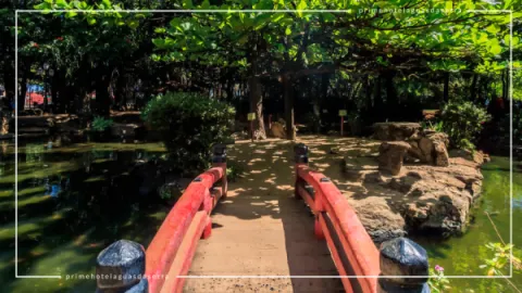 Jardim Japonês em Caldas Novas: Contato com a Natureza
