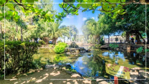 Jardim Japonês em Caldas Novas: Contato com a Natureza