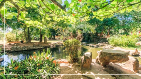 Jardim Japonês em Caldas Novas: Contato com a Natureza