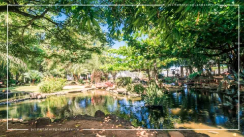 Jardim Japonês em Caldas Novas: Contato com a Natureza