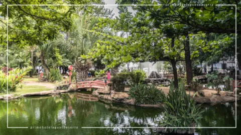 Jardim Japonês em Caldas Novas: Contato com a Natureza