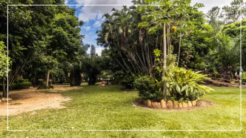 Jardim Japonês em Caldas Novas: Contato com a Natureza