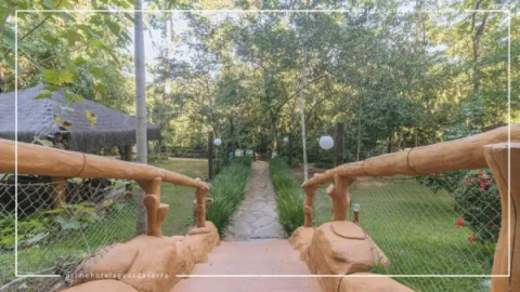 Shows de Verão Lagoa Termas Parque: Ingressos e Hospedagem com Desconto