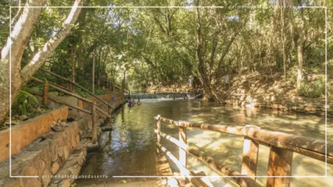 Shows de Verão Lagoa Termas Parque: Ingressos e Hospedagem com Desconto