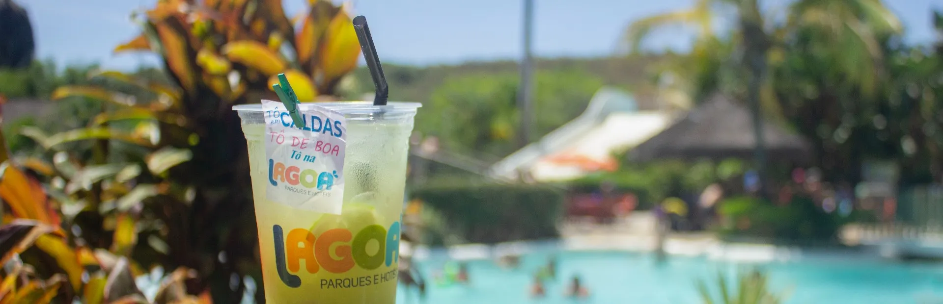 Shows de Verão Lagoa Termas Parque: Ingressos e Hospedagem com Desconto